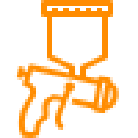 Estética Automotiva